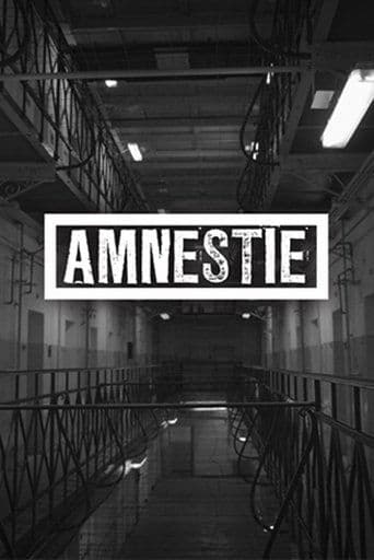 Movie poster for Amnesty