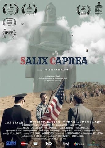 Movie poster for Salix Caprea