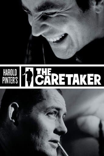 Movie poster for The Caretaker