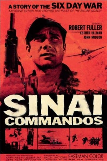 Movie poster for Sinai Commados