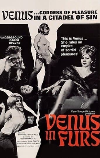Movie poster for Venus in Furs