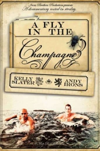 Movie poster for A Fly in the Champagne