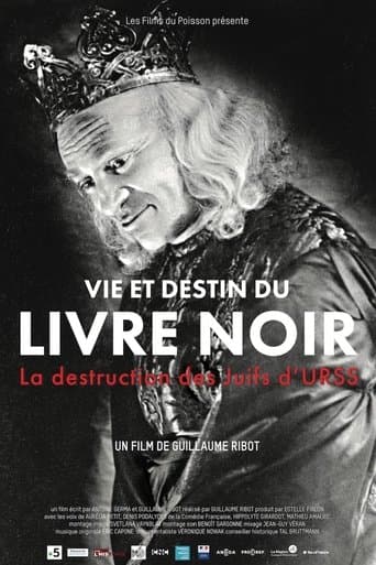 Movie poster for The Black Book
