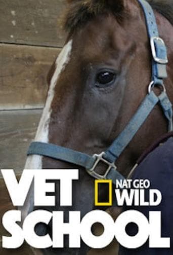 Movie poster for Vet School