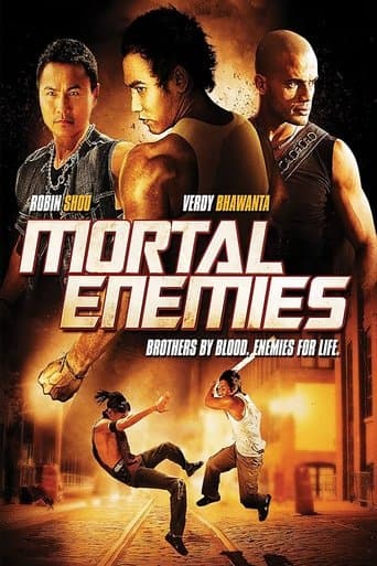 Movie poster for Mortal Enemies