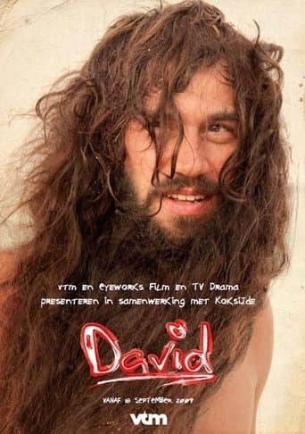 Movie poster for David