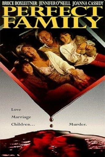 Movie poster for Perfect Family