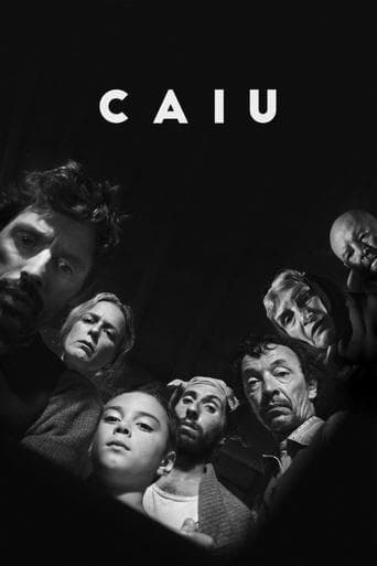 Movie poster for Caiu