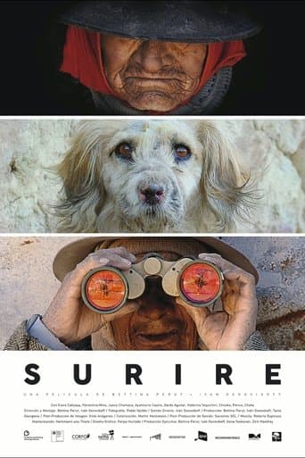 Movie poster for Surire