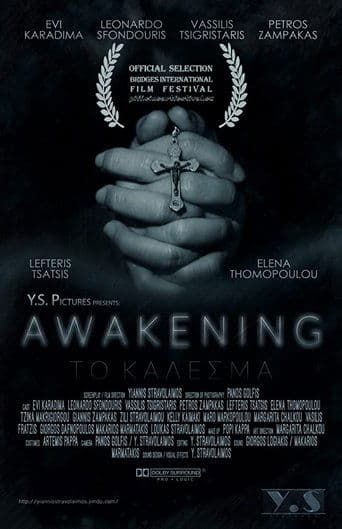 Movie poster for Awakening