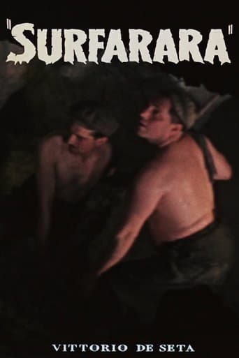 Movie poster for Surfarara