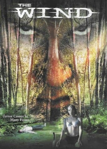 Movie poster for The Wind
