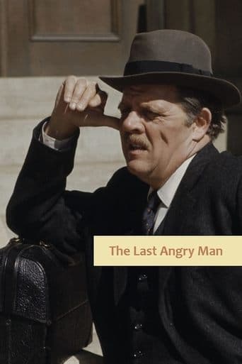 Movie poster for The Last Angry Man