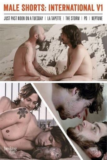 Movie poster for Male Shorts: International V1