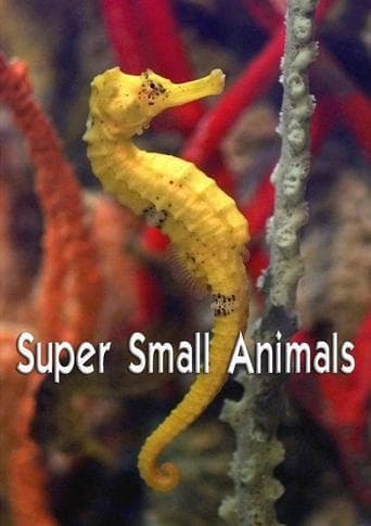 Movie poster for Super Small Animals