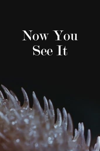 Movie poster for Now You See It