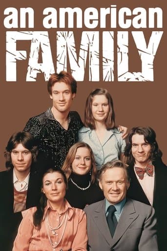 Movie poster for An American Family