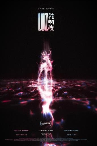 Movie poster for LUZ
