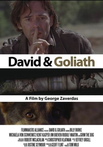Movie poster for David and Goliath
