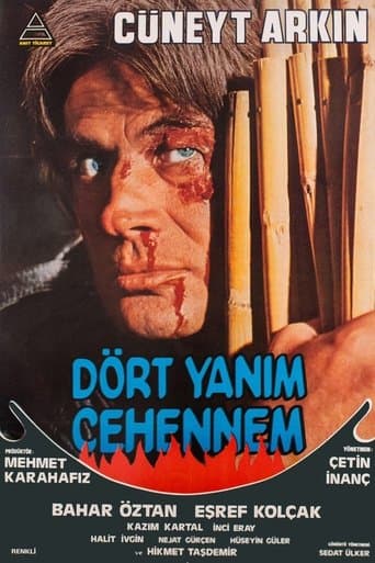 Movie poster for Dört Yanım Cehennem