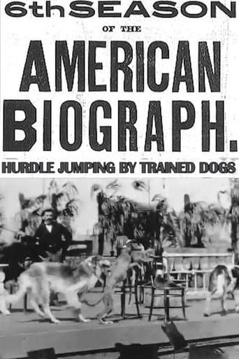 Movie poster for Hurdle Jumping; by Trained Dogs