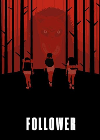 Movie poster for Follower