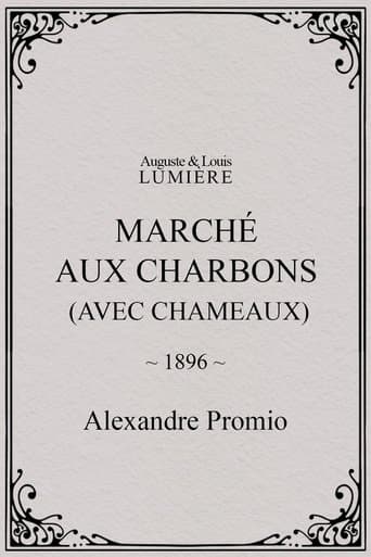 Movie poster for Marché aux charbons (avec chameaux)