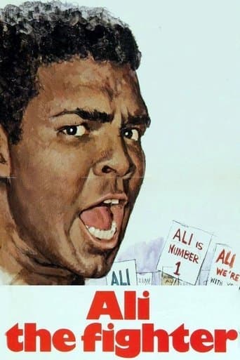 Movie poster for The Fighters