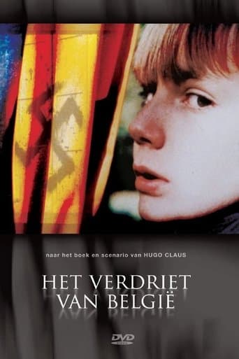 Movie poster for Het verdriet van België