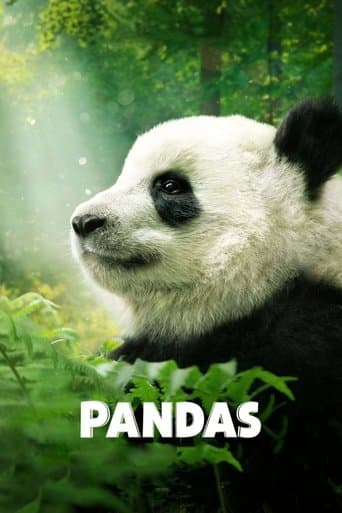 Movie poster for Pandas