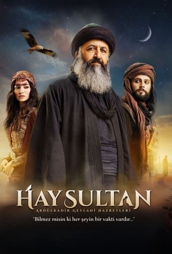 Movie poster for Hay Sultan