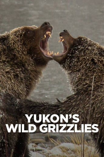 Movie poster for Yukon's Wild Grizzlies