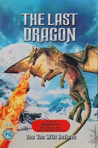 Movie poster for The Last Dragon
