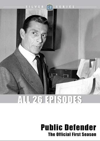 Movie poster for Public Defender