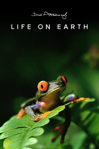 Movie poster for Life on Earth