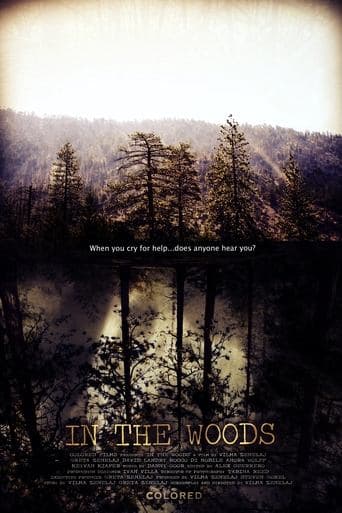 Movie poster for In the Woods