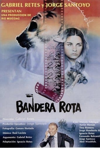 Movie poster for Broken Flag