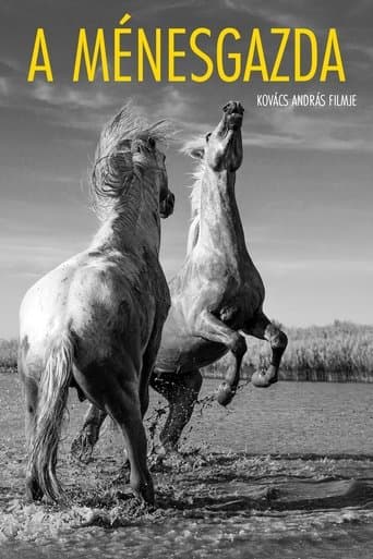 Movie poster for The Stud Farm