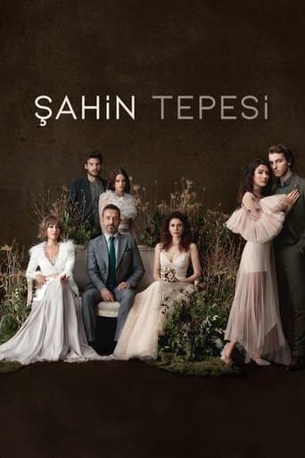 Movie poster for Şahin Tepesi