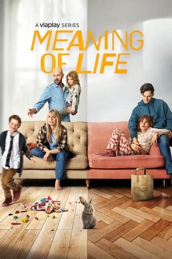 Movie poster for Meaning of Life
