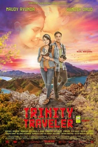 Movie poster for Trinity Traveler