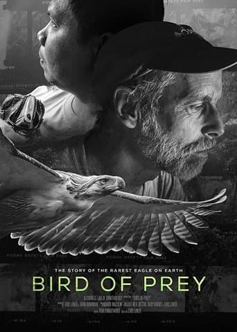 Movie poster for Bird of Prey