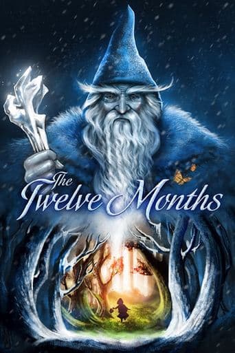 Movie poster for Twelve Months