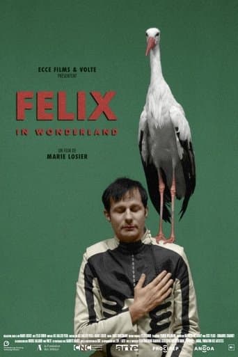 Movie poster for Felix in Wonderland