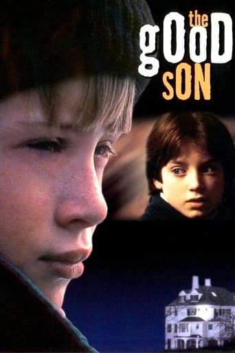 Movie poster for The Good Son
