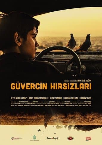 Movie poster for The Pigeon Thieves