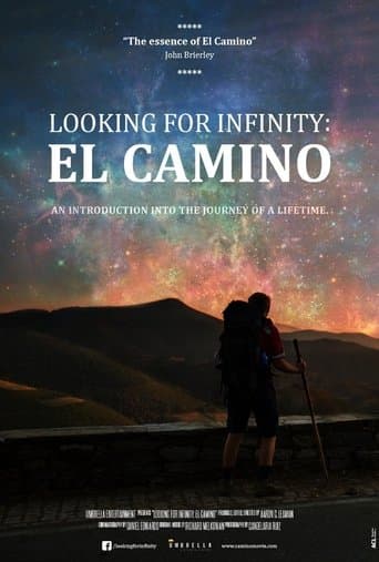Movie poster for Looking for Infinity: El Camino