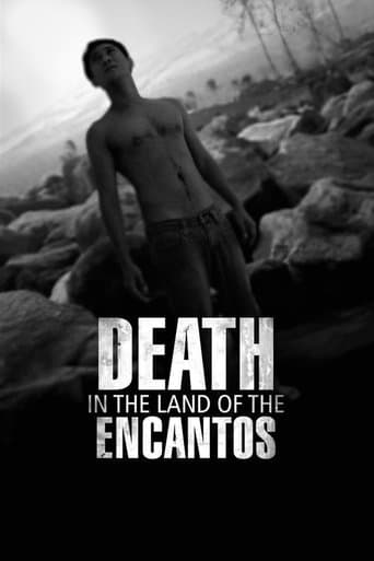 Movie poster for Death in the Land of Encantos
