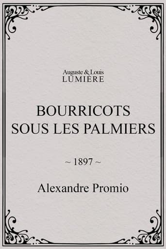 Movie poster for Bourricots sous les palmiers