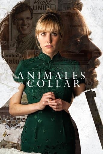 Movie poster for Unbridled